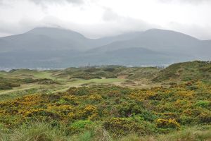 Royal County Down 4th Tee 2025